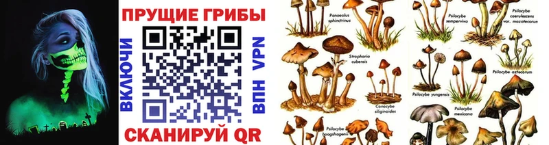 ОМГ ОМГ ссылка  нарко площадка состав  Псилоцибиновые грибы Cubensis  Сасово 
