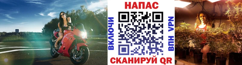 Канабис индика  ссылка на мегу зеркало  Сасово 